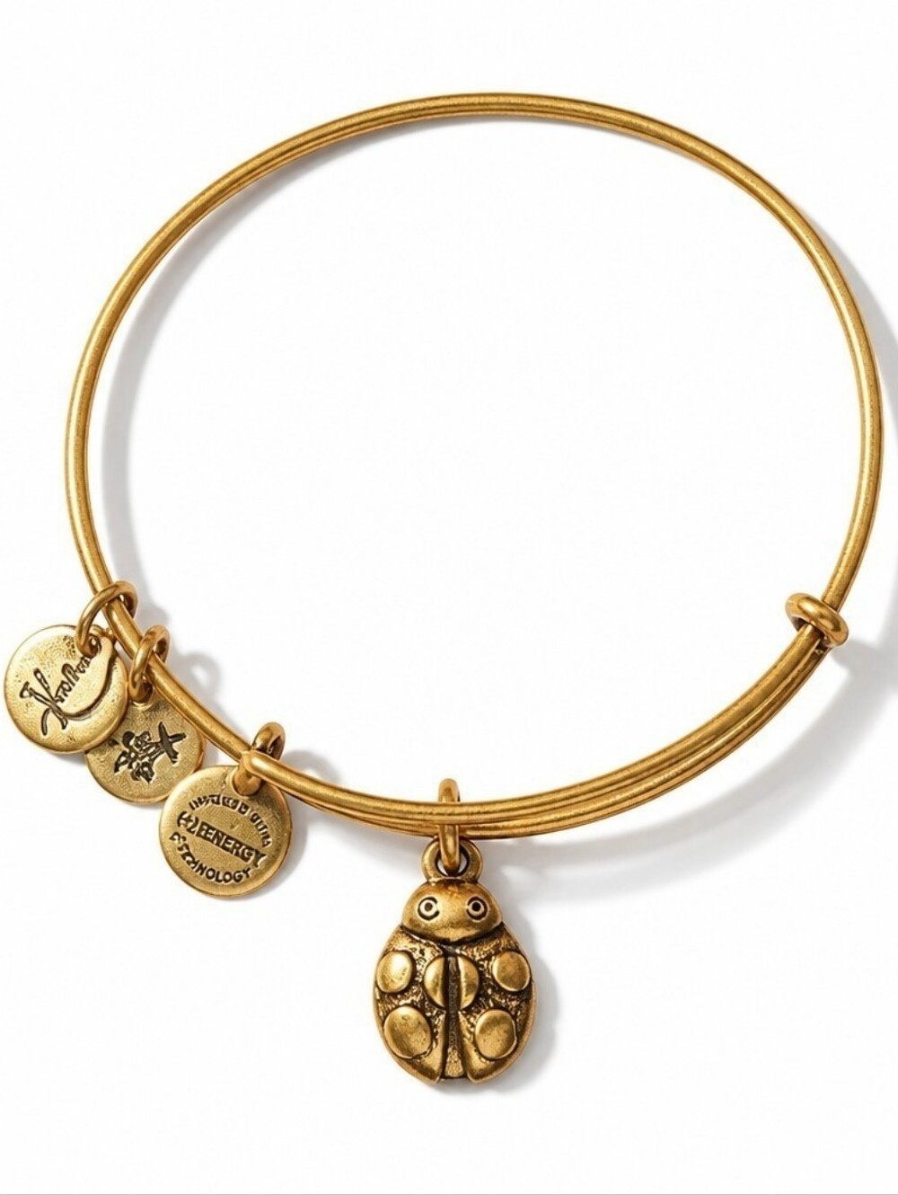 NWT &boxAlex and Ani Ladybug Expandable Charm Bangle Bracelet Gold Tone NWT Boxe